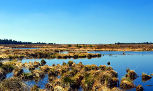 Peat-Free Alternative